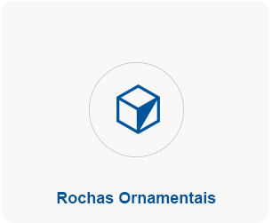Rochas